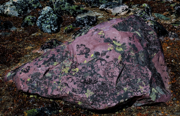 Rock & Lichen 12-4974.jpg